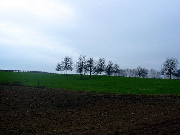 Wandelen in de herfst