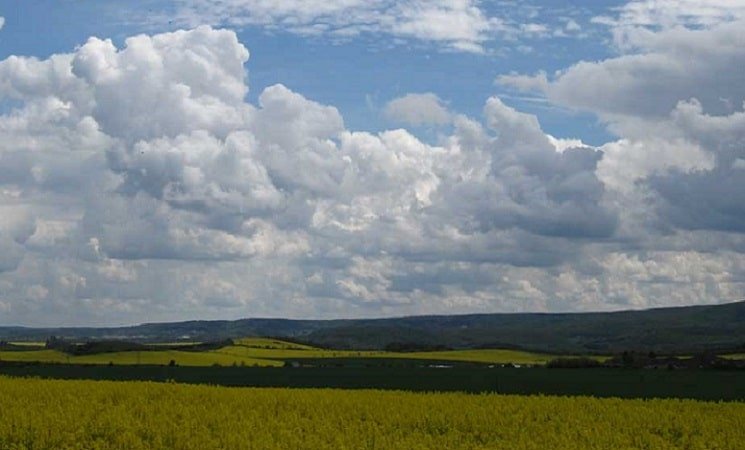 Zomer landschap