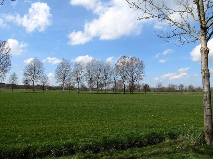 Landschap