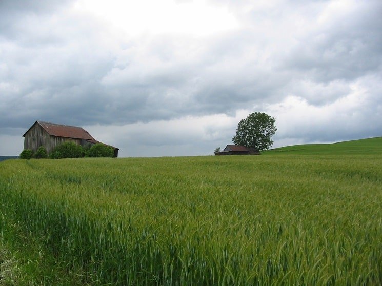 Wandelroute