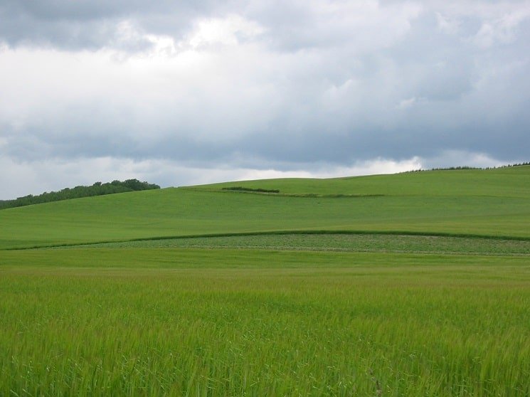 Limburgs landschap