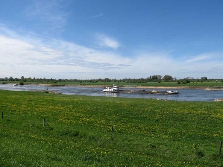Rivier landschap