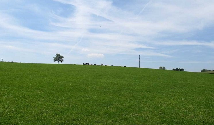 Eerste wandeltocht