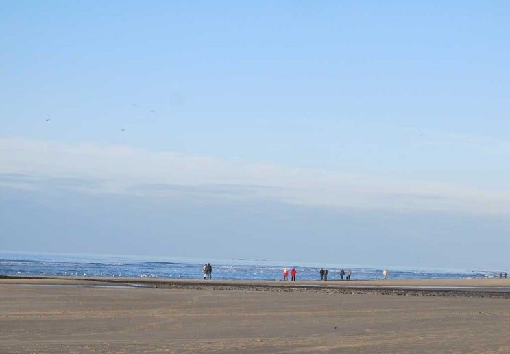 Wandelaars