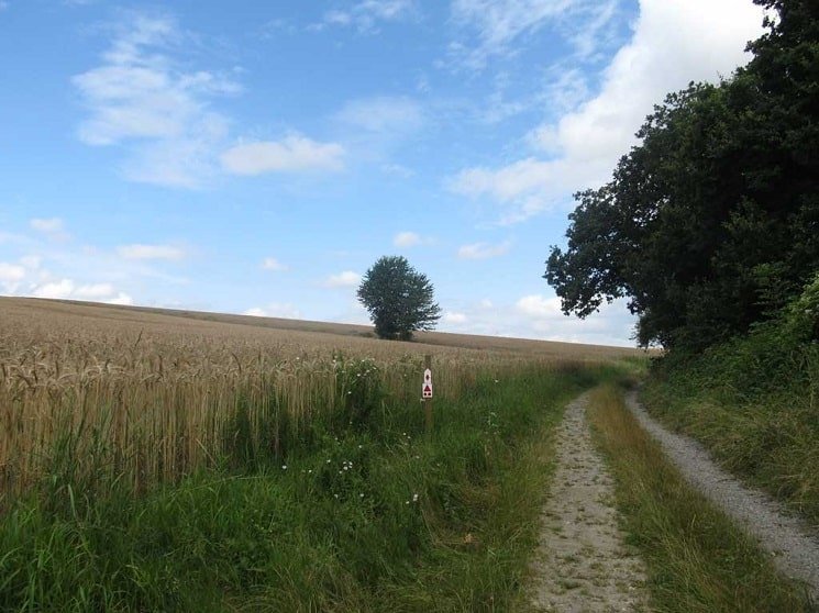 Wandelpad