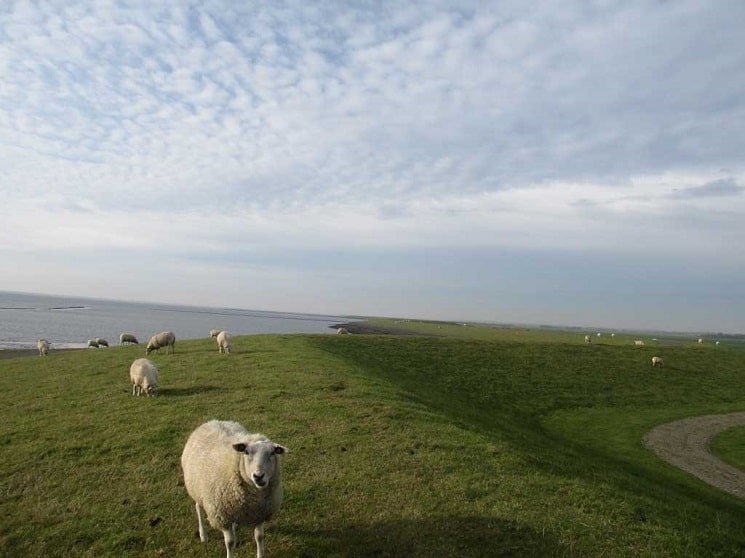 Wandelen op een dijk