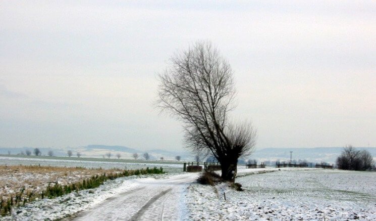 Winter