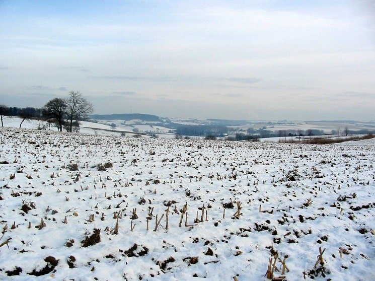 Winterlandschap